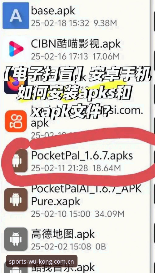 WUKONG安卓安装常见问题 WUKONG安卓安装全指南:从下载到常见问题一次搞定